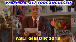 asli-gibidir