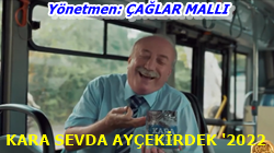 karasevda-aycekirdek