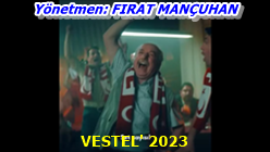vestel
